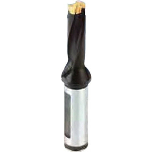 イスカル カムドリル ヘッド交換式ドリルホルダ DCM-3D DCM200-060-25A-3D