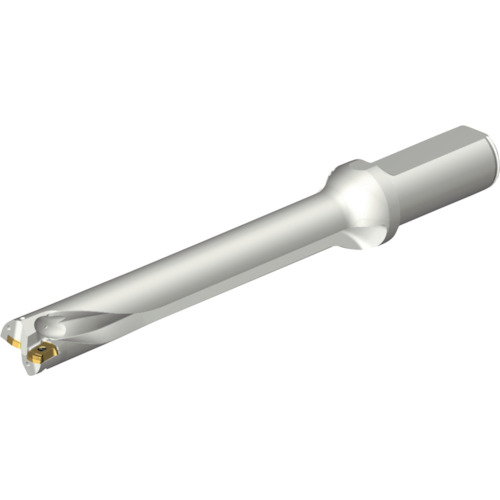 ＳＡＮＤＶＩＫ　コロドリルＤＳ２０刃先交換式ドリル（４６５） DS20-D2100L25-07