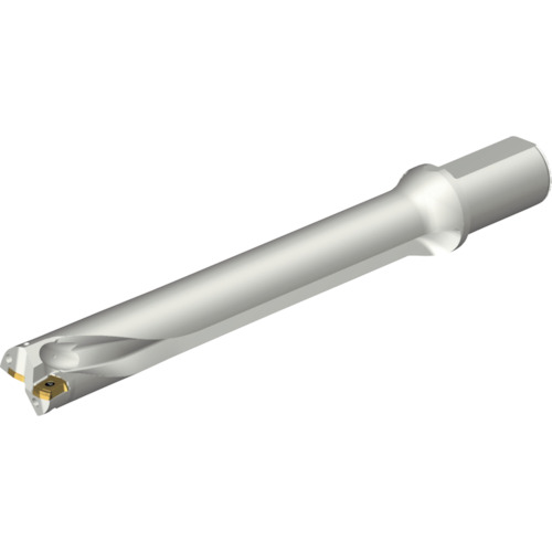ＳＡＮＤＶＩＫ　コロドリルＤＳ２０刃先交換式ドリル（４６５） DS20-D3800L40-07
