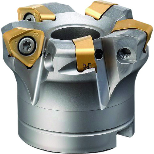 ダイジェット　刃先交換式代高送りカッタ　ＳＫＳエクストリーム　ボアタイプ　６枚刃　φ８０　穴径ミリサイズ EXSKS-6080R-27