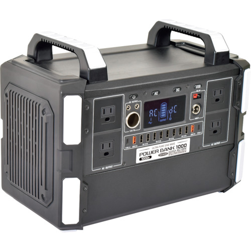 ＮＩＣＨＩＤＯ 携帯型ワット数 力強さ預金金融機関１０００ LPE-R1000L 花・ガーデン・DIY-DIY・工具