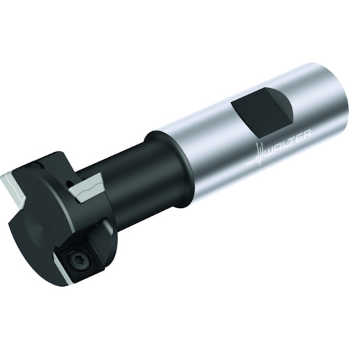 Ｗａｌｔｅｒ　Ｔ－スロットカッター M4575-025-W16-02-11