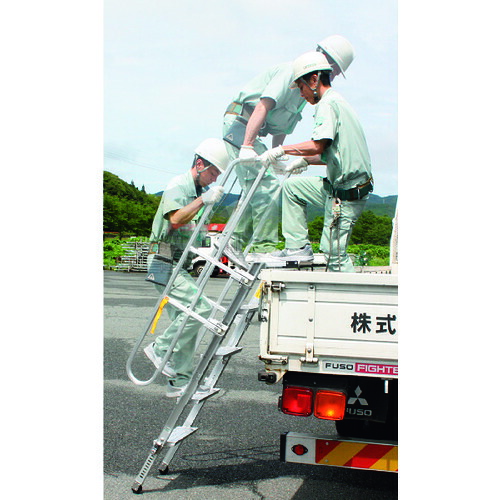 ＮＡＫＡＯ 貨物自動車菩提樹 REG-L