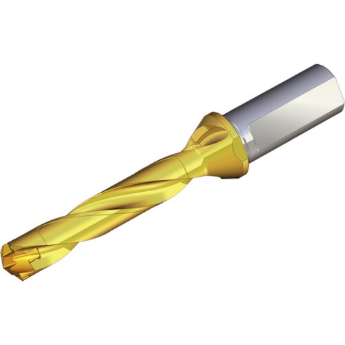 TAEGUTEC 刃先交換式ドリルホルダー ドリルラッシュ TCD 170-179-20T3-5D