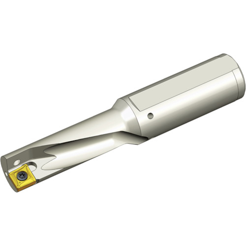 ＴＡＥＧＵＴＥＣ 刃先取り替えっこ式せん孔機保持者 とっ始め旗がしら TCAP 08R-3.0DN12