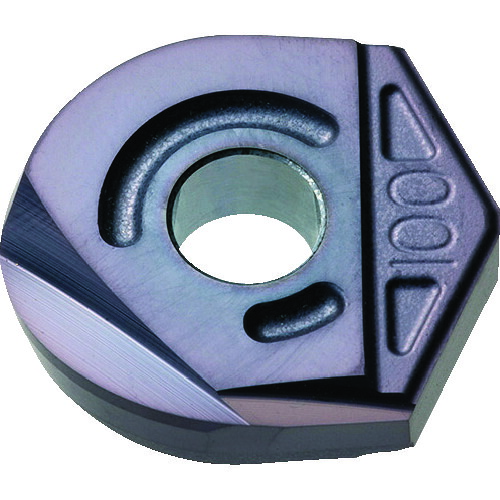 【2個セット】 ＭＯＬＤＩＮＯ　フライス工具　カッタ用チップ　ＺＰＦＧ１６０　ＢＨ２００　ＢＨ２００ ZPFG160(BH200)