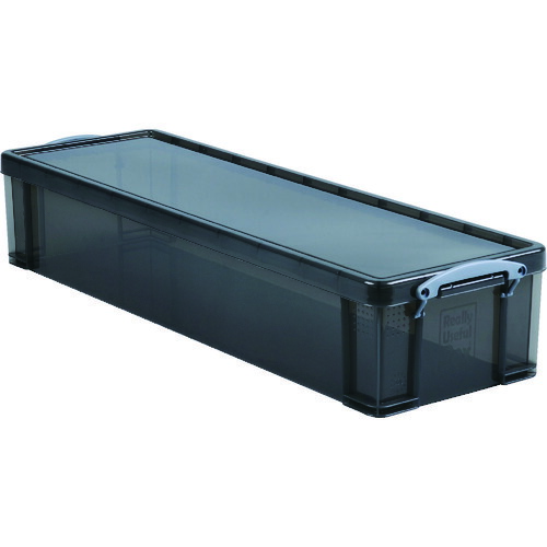 ＲＵＰ　収納ケース　２２Ｌ　スモーク 22TSMK