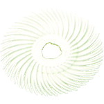 【40枚セット】 ３Ｍ　ラジアル・ブリッスルディスク　＃１２０相当　白　５０．８ｍｍ BR DISC 120 2X3/8 14,599円