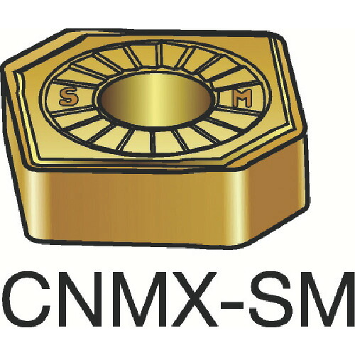 【10個書き割り】 ＳＡＮＤＶＩＫ Ｔ－Ｍａｘ Ｐ 旋削用ネガ心付け（１１０） １１０５ CNMX 12 04 A1-SM(1105)