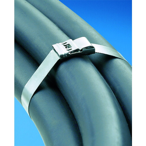 ＰＡＮＤＵＩＴ ＭＳステンレススチールバンド ＳＵＳ３０４ ９．５×３００ ５０本入 MS2W38T15-L4