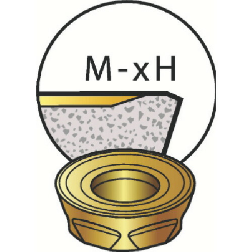 【10個書き割り】 ＳＡＮＤＶＩＫ コロミル３００ フライス工業用心付け（３５０） １０１０ R300-1648M-PH(1010)