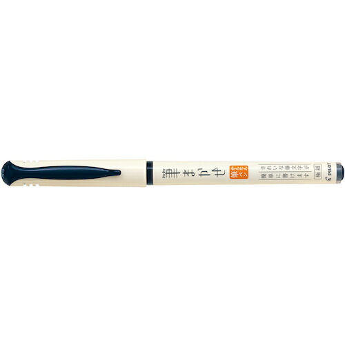 楽天市場】パイロットPilot 万年筆蒔絵/変わり塗/石目 全4柄 ブラック