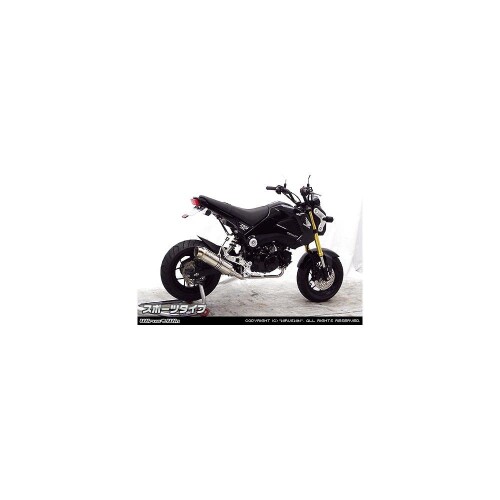 ウイルズウィン(WirusWin) ロイヤルダウンマフラー/スポーツ GROM 1型(MSX125) 37,545円