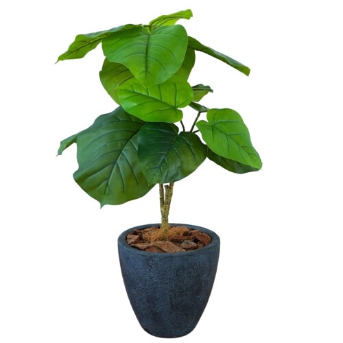 Botanical life+ フェイクグリーン 観葉植物 光触媒 日本製 消臭 抗菌 ウンベラータ 70cm Dシリーズ