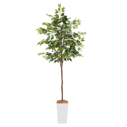 Botanical life+ フェイクグリーン 観葉植物 光触媒 大型 消臭 抗菌 ガジュマル 210cm Kシリーズ