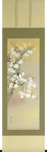 偕拓堂アート 掛け軸 桜に小禽(桐箱入り) (縦190×横54.5cm)