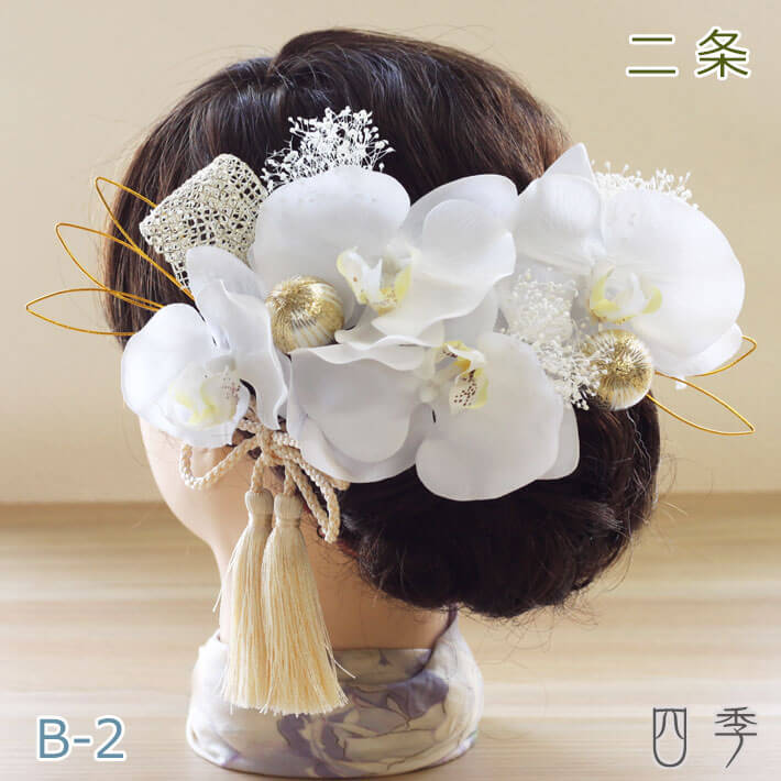 胡蝶蘭 セット♦︎ ドライフラワー 髪飾り 結婚式 成人式 前撮り 水引