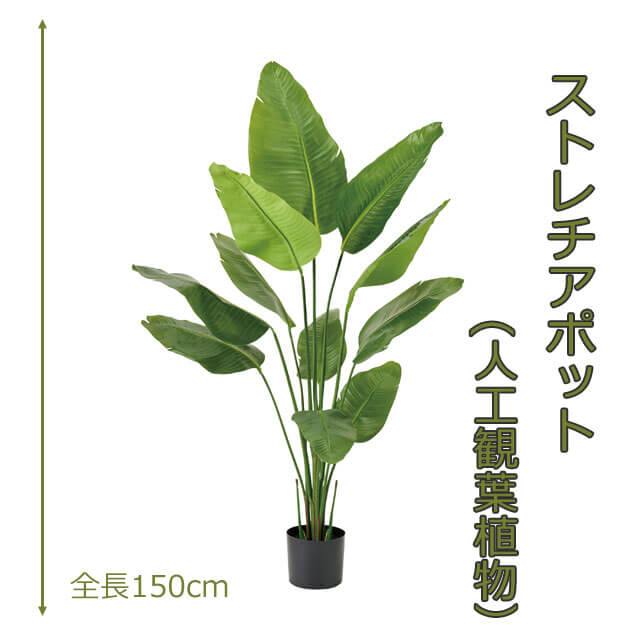 ストレリチアポット150cm 人工樹木 人工観葉植物 造花 インテリアグリーン 1552 玄関やリビングのインテリアに【送料無料】 GR_0052｜Mrs.四季