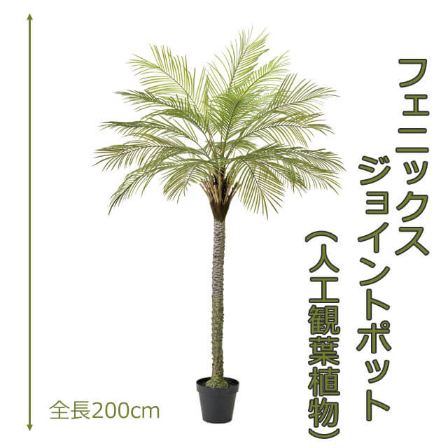 フェニックスジョイントポット200cm 人工樹木 人工観葉植物 造花 インテリアグリーン 6090 玄関やリビングのインテリアに【送料無料】 GR_0053 29,494円