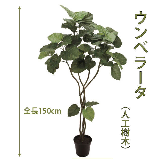 楽天市場】ウンベラ—タ 120cm 人工樹木 人工観葉植物 造花 インテリア