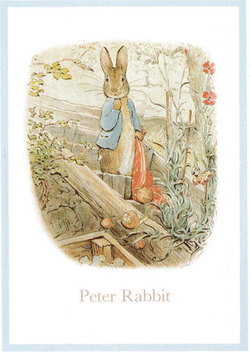 楽天市場 ピーターラビット ポストカード 帽子とベンジャミン かわいい ビアトリクス ポター 楽しい 挿絵 水彩画 イラスト ピーターラビットのおはなし ベンジャミンバニーのおはなし 雑貨ふくらむshop