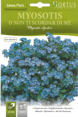 楽天市場 イタリアの花の種 ワスレナグサ Cod 60sdfm074 ミセスリビング