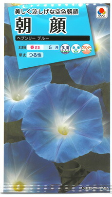 楽天市場 ヘブンリーブルー 21年 タキイ種苗 西洋朝顔 美しい緑のカーテン 秋に咲くあさがお ミセスリビング