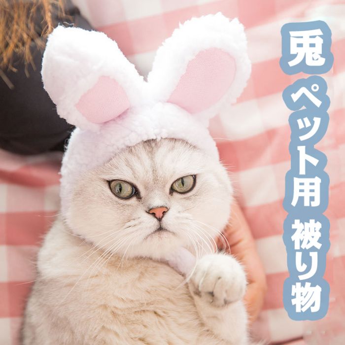 ペット用 被り物 うさぎ 猫 癸卯 兎 コスプレ ハロウィン ペット 年賀状 干支 ウサギ帽子 かわいい ネコ 仮装 コスチューム フェイクファー 小型犬 送料無料 人気のファッションブランド! ペット用 被り物 うさぎ 猫 癸卯 兎 コスプレ ハロウィン ペット 年賀状 干支 ウサギ帽子 かわいい ネコ 仮装 コスチューム フェイクファー 小型犬 送料無料 人気のファッションブランド!