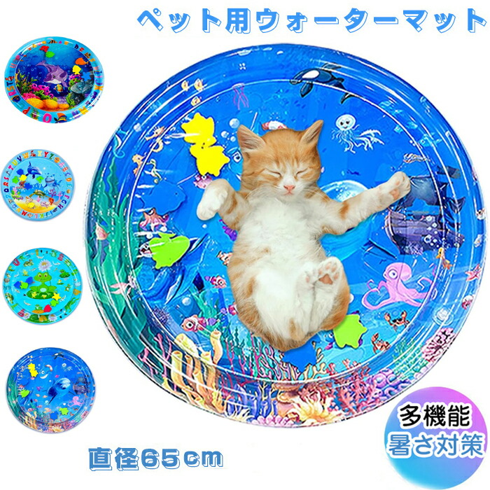 dxl-qs-pet107-01.jpg