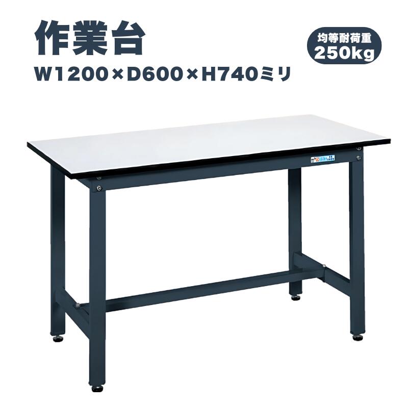サカエ SAKAE 作業台 SELタイプ キャスターなし 均等耐荷重250kg W1200×D600×H740mm SEL-1260P