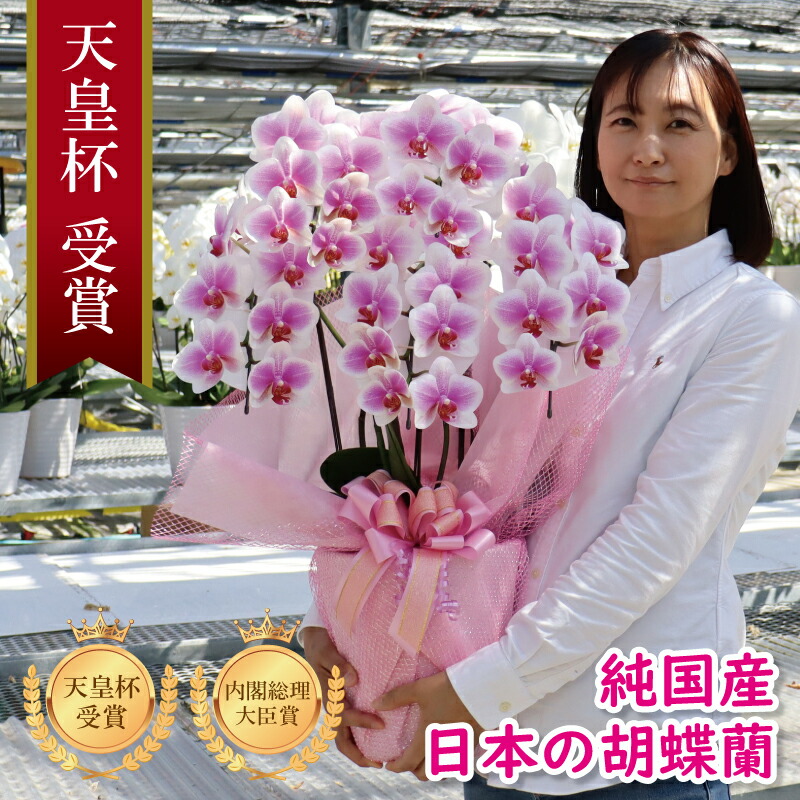 MSD SHOP カラコン特価