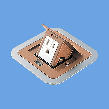 パナソニック DU1302AK 住宅用F型アップコン角型 1コ口アース付 バーチ 2P 15A 125V