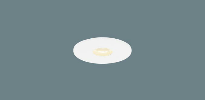 パナソニック SLD1022L LEDニッチライト 天井埋込型 電球色 集光タイプ 埋込穴φ48 HomeArchi 白熱電球10形1灯器具相当 電源ユニット別売