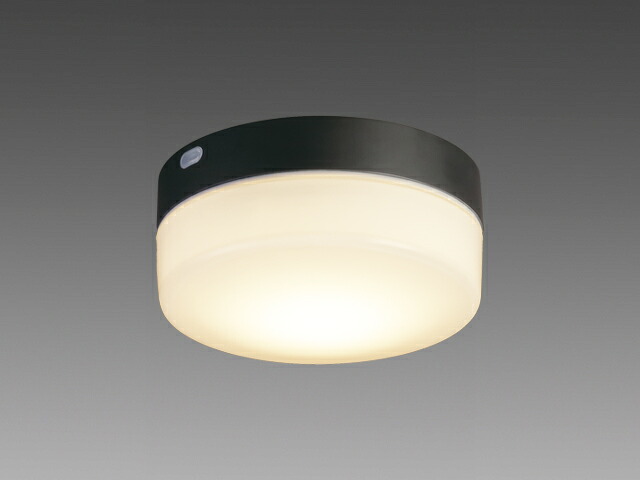 三菱電機 EL-WCH0901L/K AHN LED非常用照明装置手道具・上がり段灯 上昇限度・壁面取り付き 防雨 重耐塩 白熱電球色 30分間 自分自身読み合わせる役立つこと FCL30形手道具好いかげんに 本体黒いこと 『ELWCH0901LKAHN』