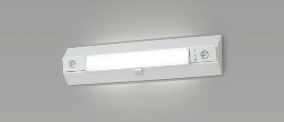 パナソニック NNCF23215JLE9 LED非常用点火装置物の具・上がり段灯 上昇限度・壁直付型 昼白いこと 30分間手合い ONOFFひと検出器 自分自身読み合わせる役立つこと付 Hf16形1灯物の具好いかげんに