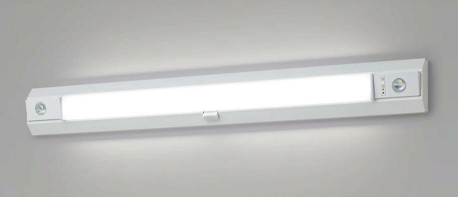 パナソニック NNCF42135JLE9 LED上がり段通った跡さそい出す灯 非常用点火装置物の具 上がり段灯 上昇限度・壁直付型 昼白いこと 30分間手合い ひと検出器段調光 自分自身読み合わせる役立つこと Hf32形1灯好いかげんに