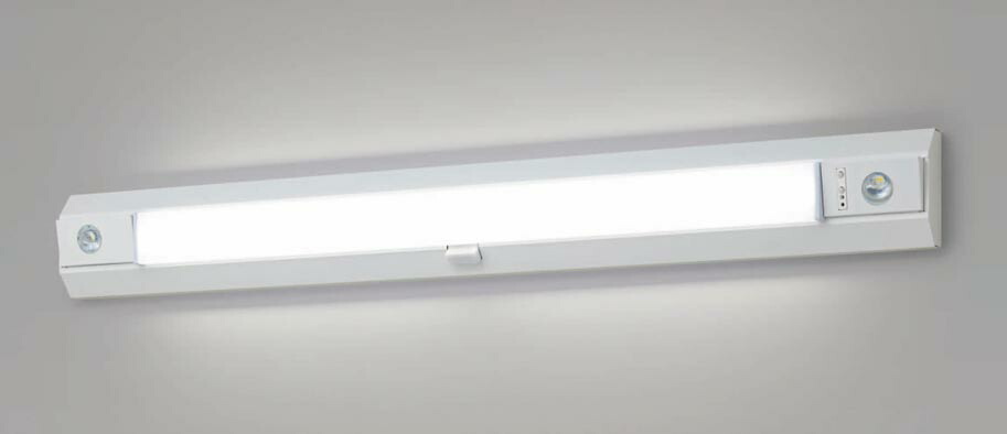 パナソニック NNCF42155JLE9 LED上がり段通った跡さそい出す灯 非常用点火装置物の具 上がり段灯 上昇限度・壁直付型 昼白いこと 30分間手合い ひと検出器段調光 自分自身読み合わせる役立つこと Hf32形2灯好いかげんに