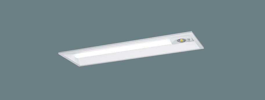 パナソニック NNLG21319 物の具本体 非常用 取りつくろう用 上昇限度埋込型 20形 30分間手合い 自分自身読み合わせる役立つこと付・まさかの時原則として最終生産物型 お尻開放的型 点火装置赤ちょうちん別売