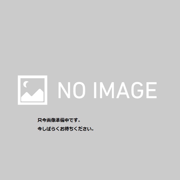 【楽天市場】ダカイン スキーストラップ ブラック DAKINE SKI STRAPS BLK BF232964 BLK：MSP NET