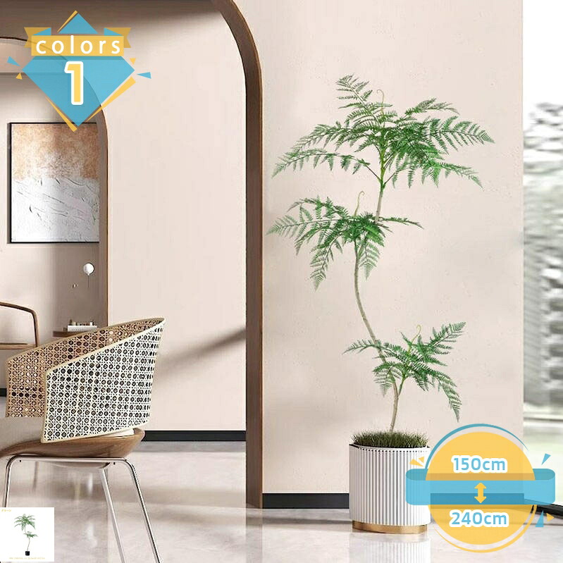 今季注目  【MANJFEEJ527】 限定デザイン