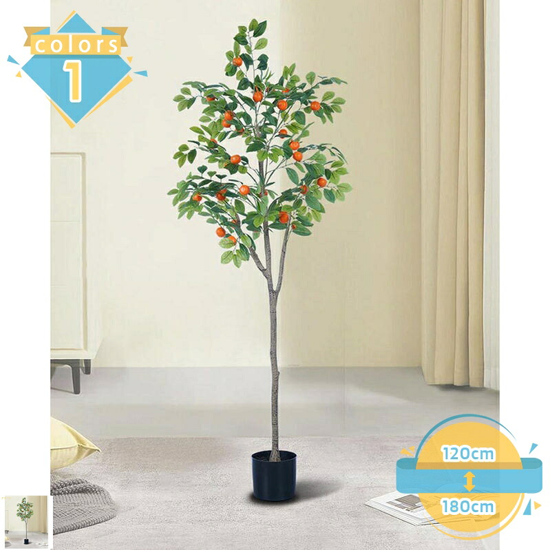 売れ筋 M2ZPXGHY8MO [M2ZPXGHY8MO]