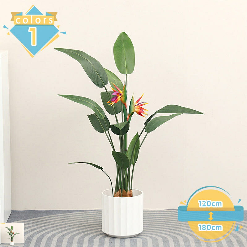1000円OFFクーポン券 フェイクグリーン 和室 洋室 極楽鳥花 ご覧なさる草木 今めかしい 造花 分かりやすい かざり付ける 執務室 老人ホーム飾りつけ お正月 正月飾りつけ 華燭の典 営造祝賀会 母の日 父の日 差し上げ物 人工草木 室内装飾 常緑樹 お取りつくろう不必要 mssk-online