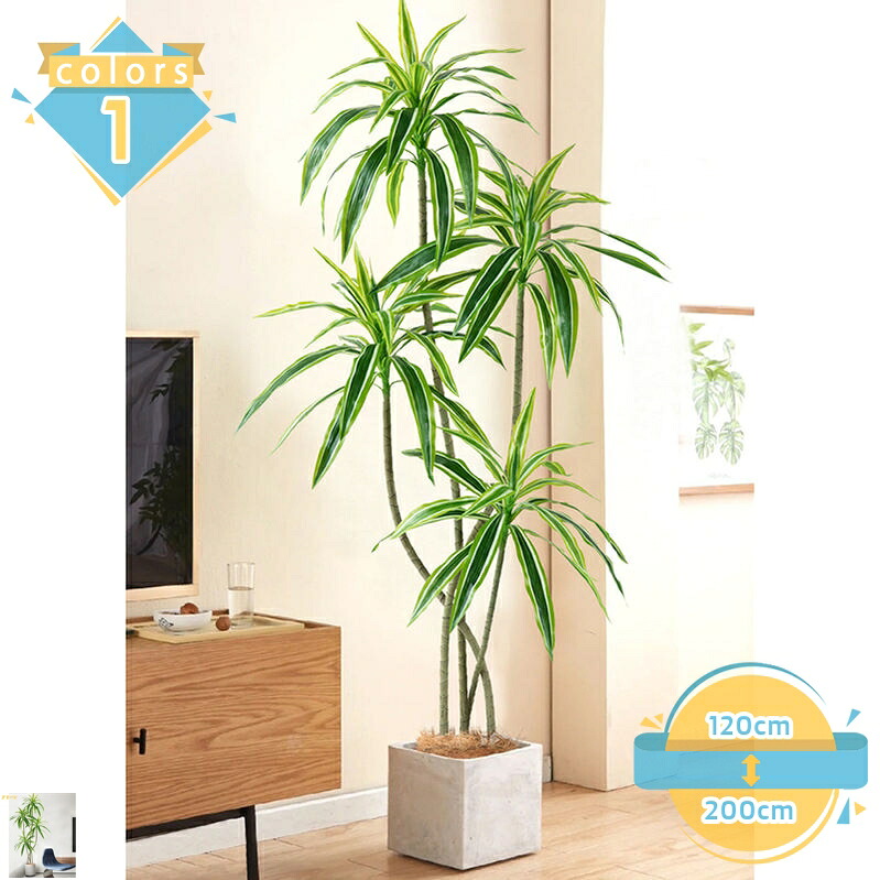 2000円OFFクーポン 人工観葉植物 抗菌 造花 幸福の木 ドラセナ フェイクグリーン ペット モダン 北欧 プレゼント アートフラワー 人工植物 風水 開運 抗菌 水やり不要 おしゃれ 大型 人工観葉樹 シンプル インテリア リビング 玄関 テレビ周り 室内 屋外|トラベア雑貨店
