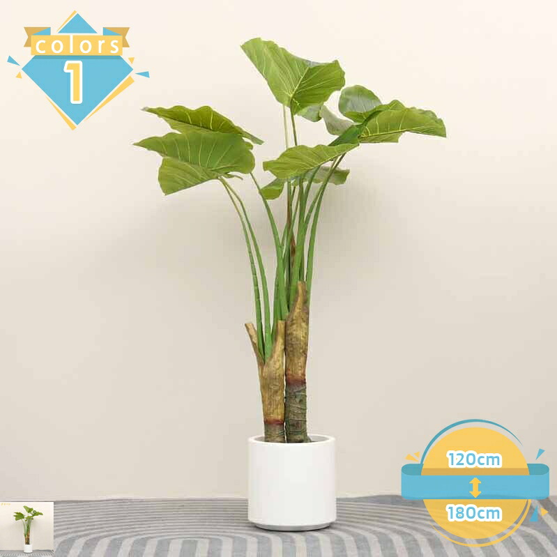 1000円OFFクーポン クワズイモ 人工観葉植物 大型 大きい 造花 フェイク グリーン おしゃれ オシャレ 可愛い 鑑賞 観賞 ガーデン インテリア インテリアグリーン オフィス リビング 玄関 庭 屋内 家 初心者 鉢植え 庭植え お手入れ不要 水やり不要 ギフト 贈り物|トラベア雑貨店