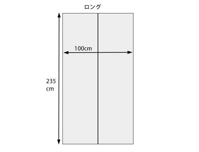 虫よけ 玄関カーテン 網戸 インセクトシールド ヒアリ マダニ 虫除け スプレー不要 フック付き グレー ロング おしゃれ インテリア 玄関 バルコニー スッキリ Insect Shield ポスト投函 送料無料 Mt Schwimmbad Delphine De