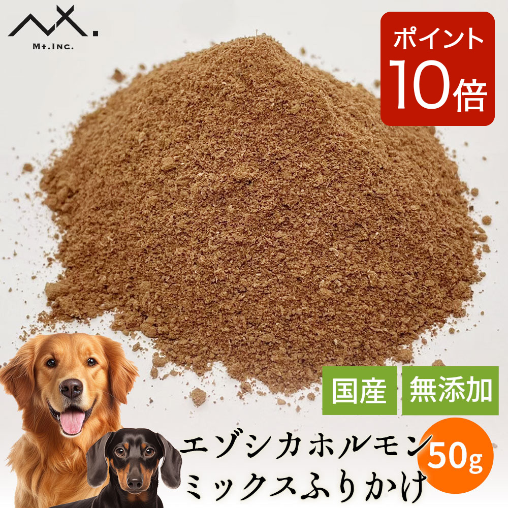 楽天市場】【ご新規様限定 2点購入で10%OFFクーポン & P10倍】〈細挽き