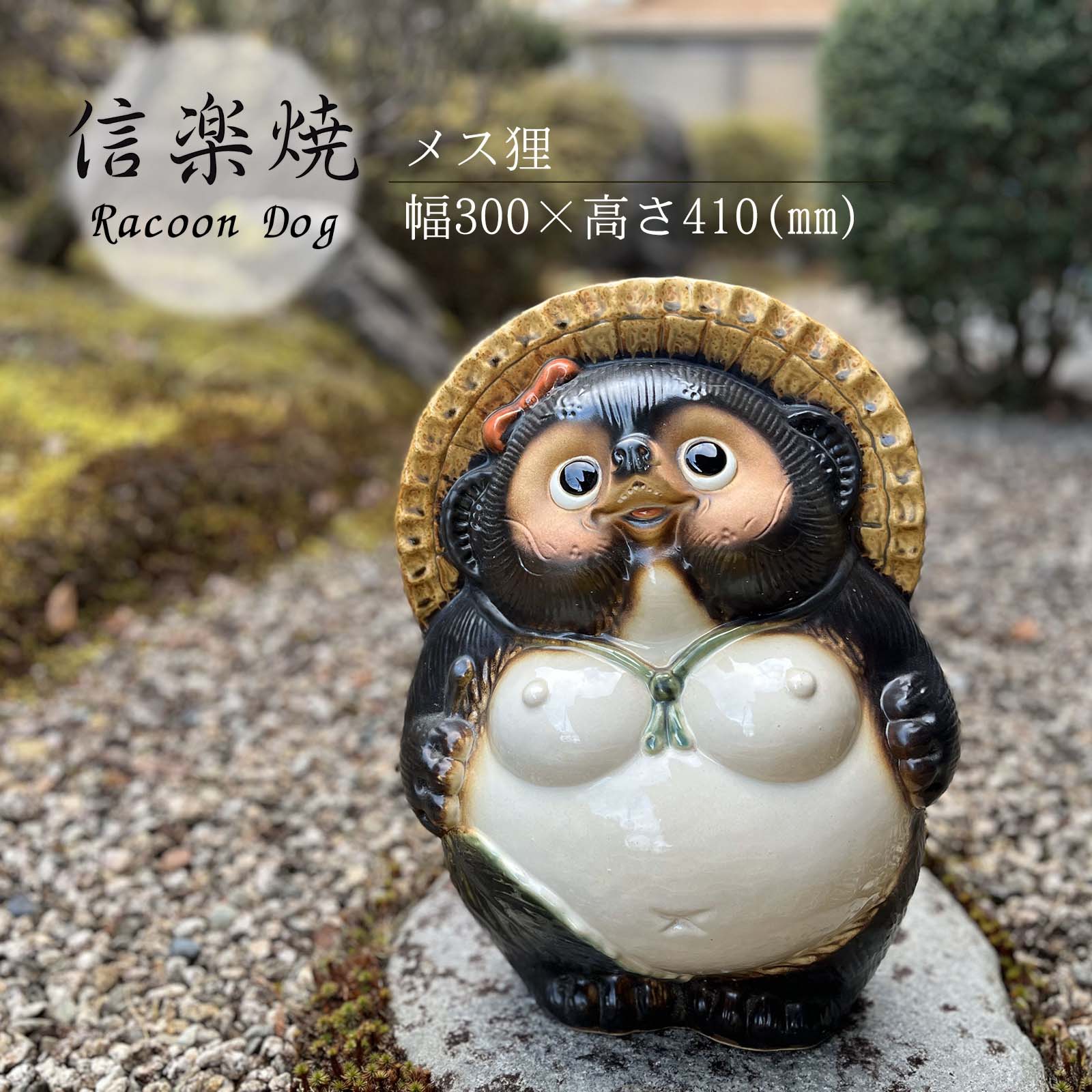 楽天市場】【12月19日20時開始15%OFFクーポン】信楽焼 13号メス狸