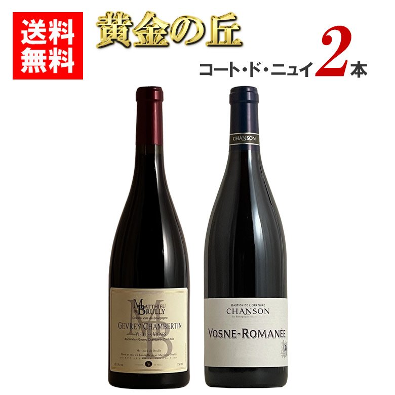 楽天市場】ユベール・ドゥスクール ブルゴーニュ・ピノノワール2013年2014年垂直飲み比べ2本セット【送料無料】フランス ブルゴーニュ ドミニク・ ローラン 赤ワイン 750ML ギフト お中元 : ワインの専門店ヴィネクシオ