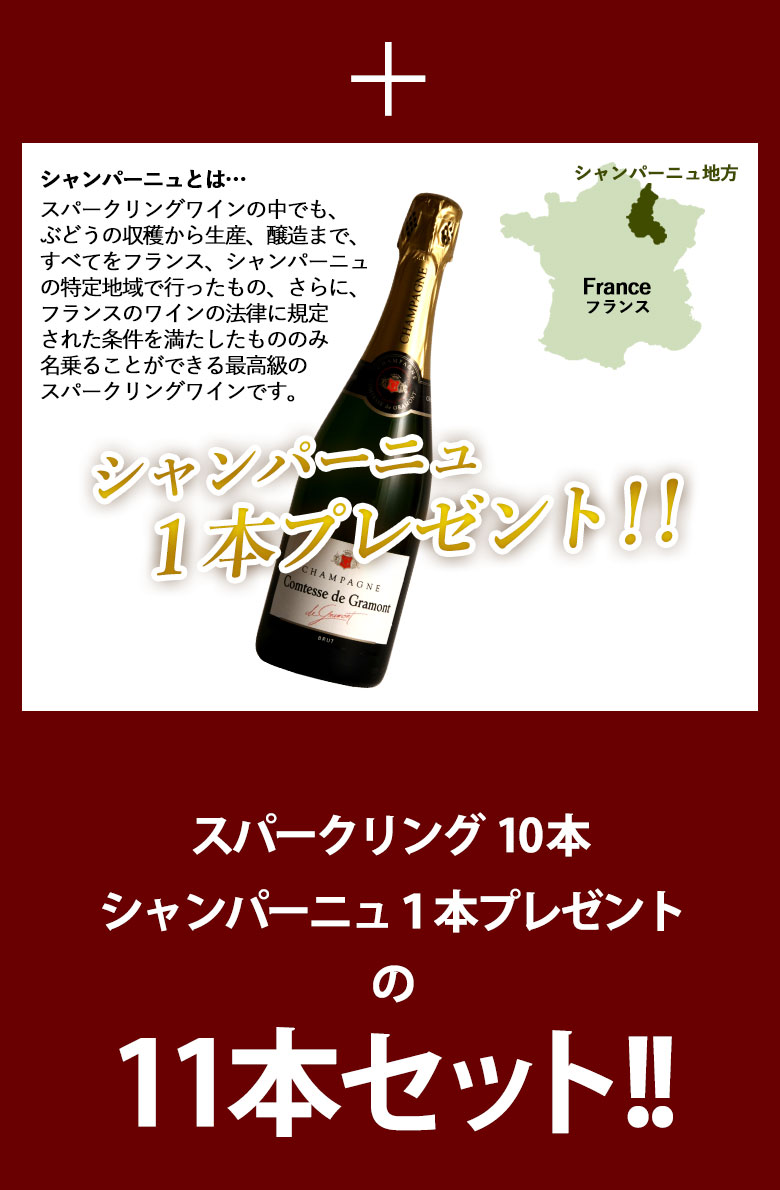値下げ 毎月1日限定販売 金賞入りスパークリング1万円福袋 11本セット ワインセット 送料無料 フランス イタリア スぺイン カヴァ スプマンテ  ギフト 敬老の日 750ML おすすめ fucoa.cl