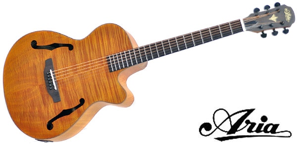 アリア12弦 FET-12/SPL　アコースティックギター FET-12/SPL N | Elecord | Products | ARIA 荒井貿易株式会社 Arai
